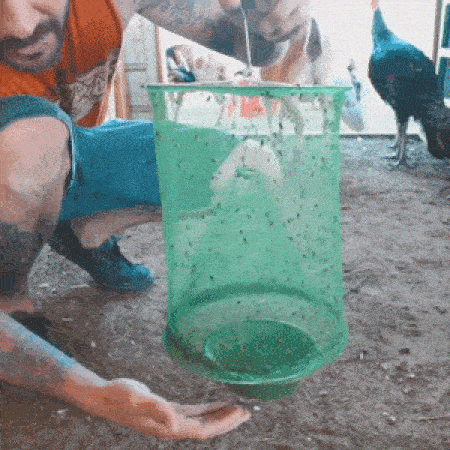 INSECTA easy installation