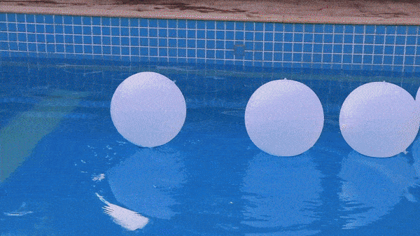 POOLGLO Pool Addition