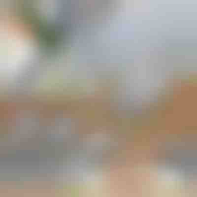 Affettatrice multifunzionale per verdure | SLICEIEST (4 Lame GRATIS)