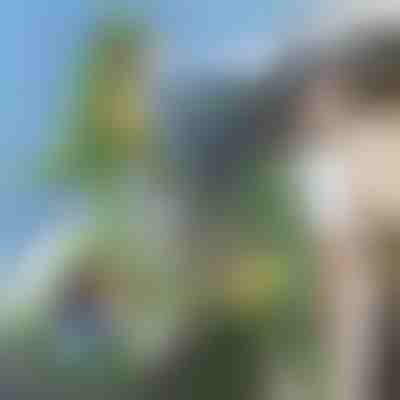 Zaino 3D a forma di dinosauro | DINOBACK