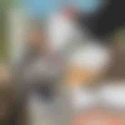 Utensile per la rettifica di motoseghe + levigatrice GRINNEX