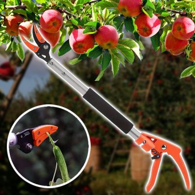 Forbici per la potatura degli alberi e strumento per la raccolta (2 in 1) | TREESNIP
