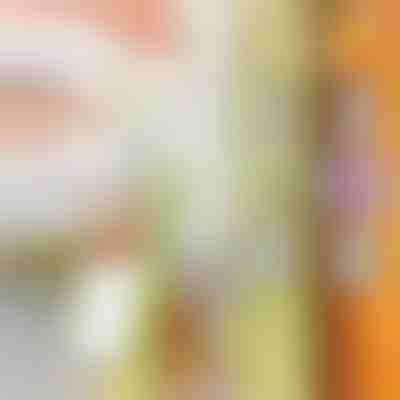 Affettatrice multiuso | SLICEWISE