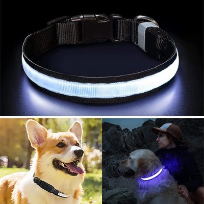 Collare Luminoso Notturno per Cani i PETSHINE