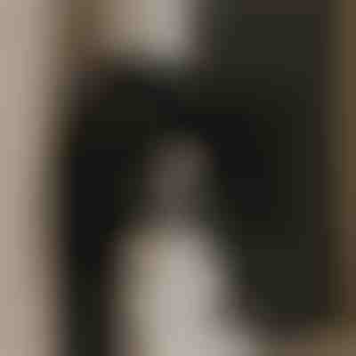 Potente aspiratore per aria pulita | VENTORIS