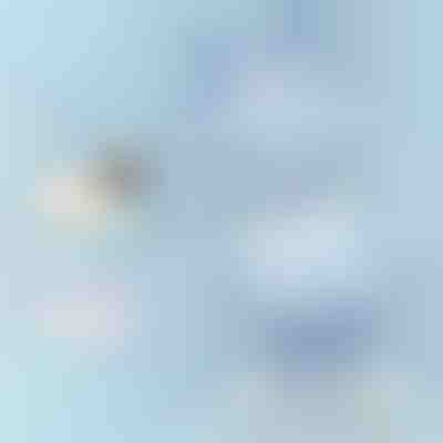 Cuscino ergonomico per neonati | NAPPILLO